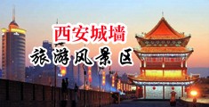 啊啊啊...好大操我中国陕西-西安城墙旅游风景区